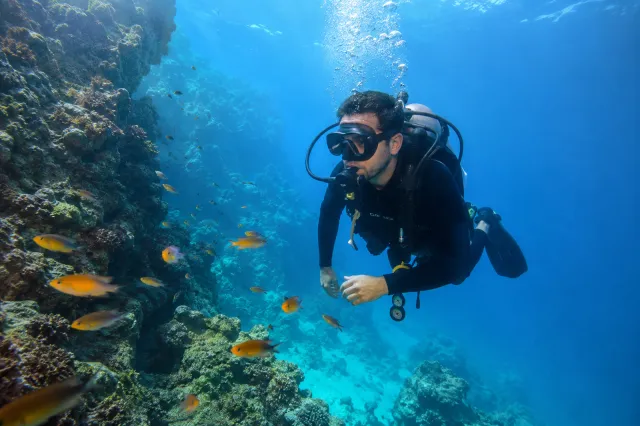 Antalya’da Tüplü Dalış: En İyi Noktalar